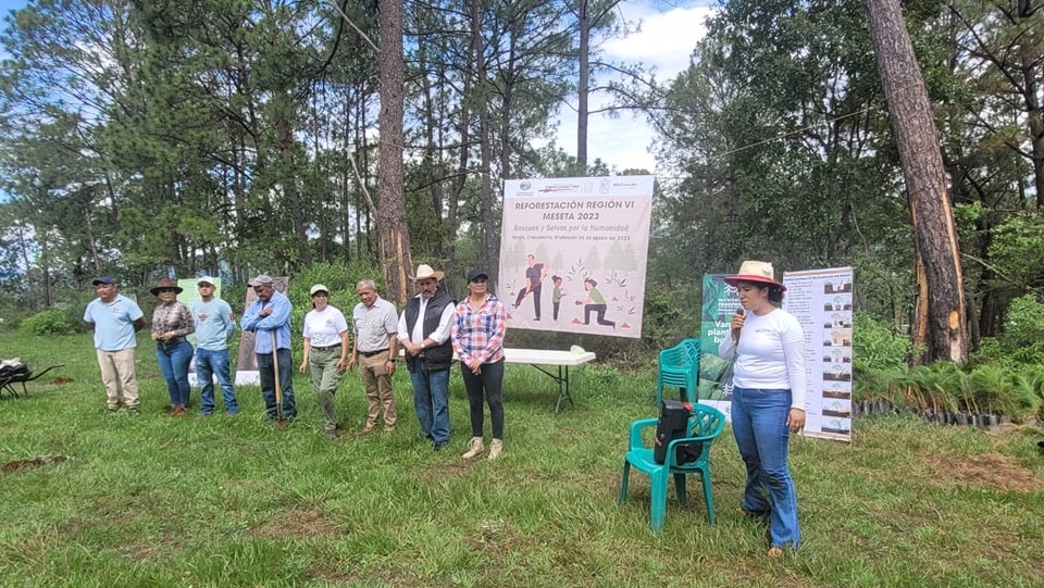 Campaña de Reforestación en Cerro de 